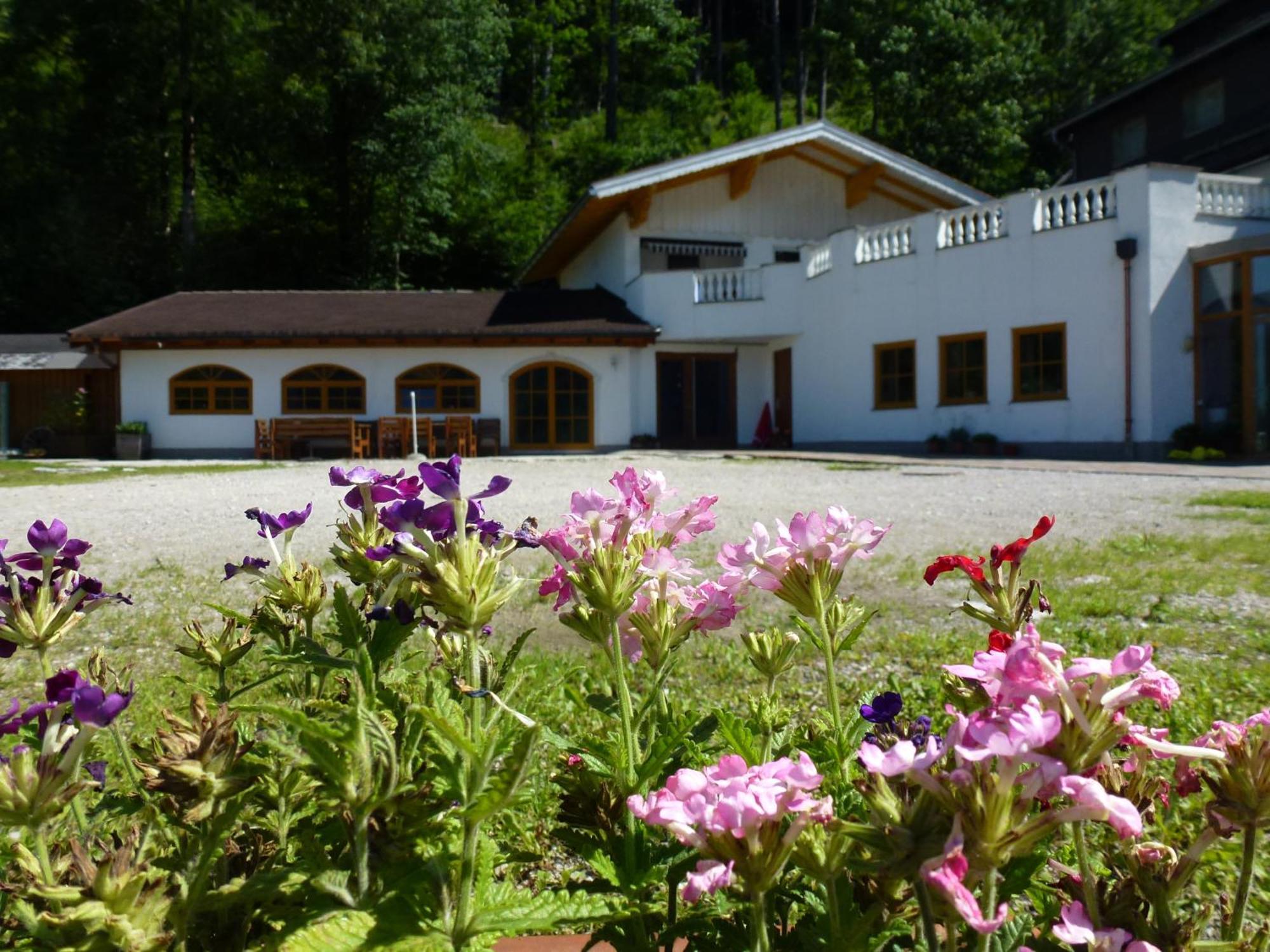 Gasthof Steinbraeu Faistenau Εξωτερικό φωτογραφία