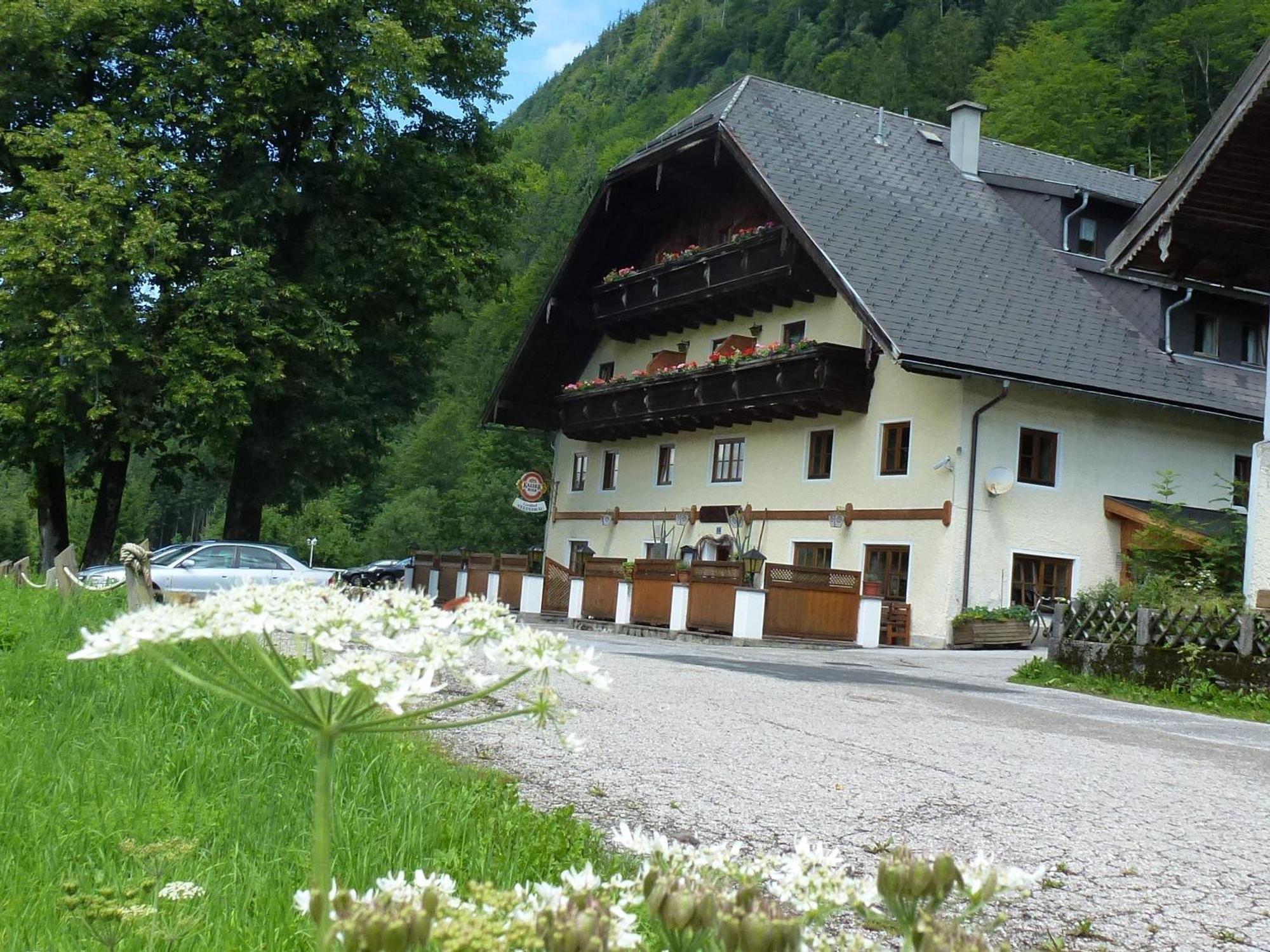Gasthof Steinbraeu Faistenau Εξωτερικό φωτογραφία